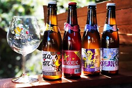 De Dolle Brouwers