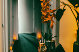 MANDALA WELLNESS