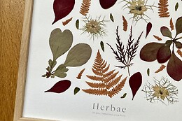 Herbae Atelier - Dijon