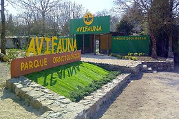 AVIFAUNA