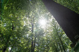 Spa Forest