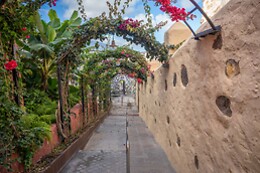 MOLINO DEL GOFIO