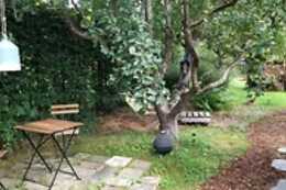 L'Echappée au jardin