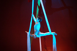 Esprit de Cirque