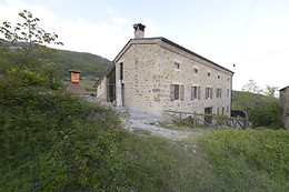 Daina Bianca