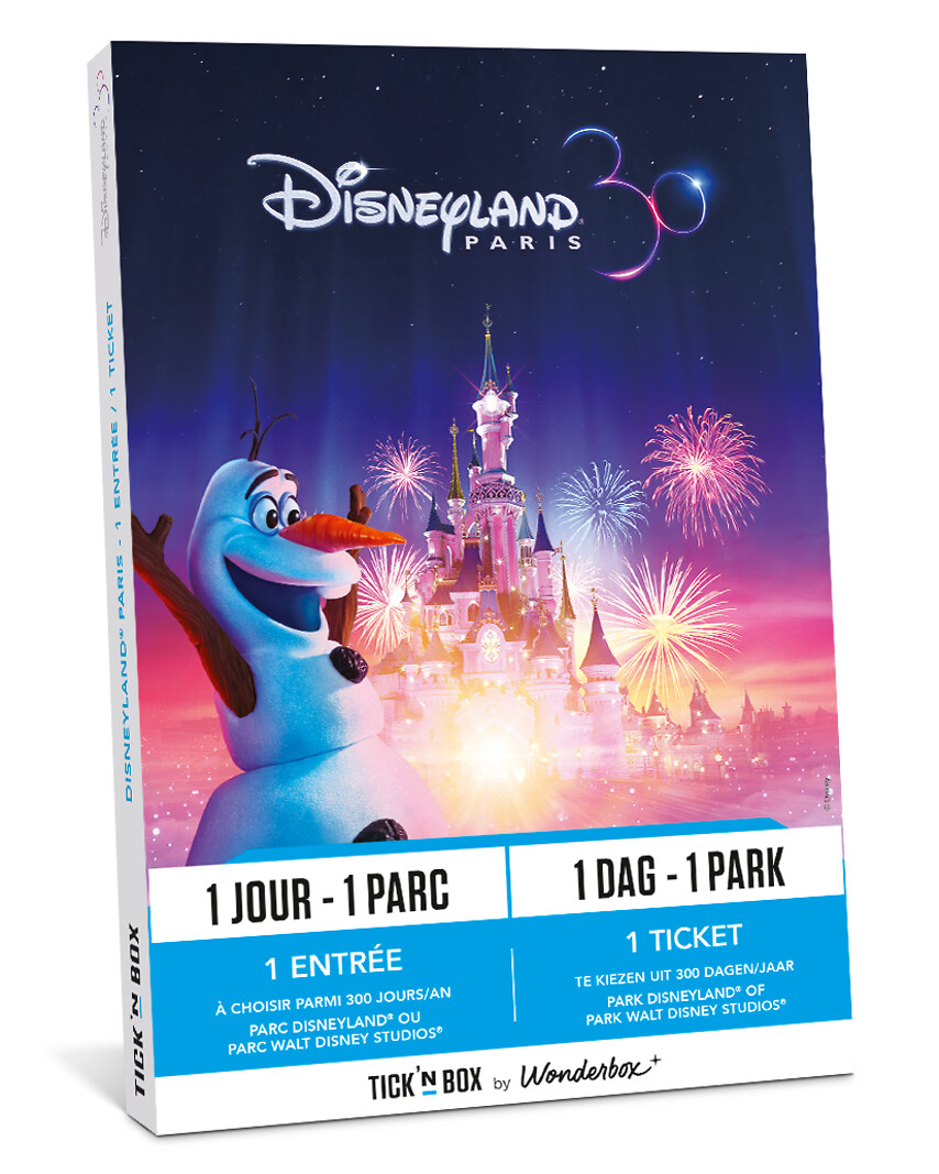 Disneyland® Paris (1 adulte / 1 jour /1 parc)