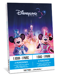 Disneyland Paris (1 jour / 1 parc)