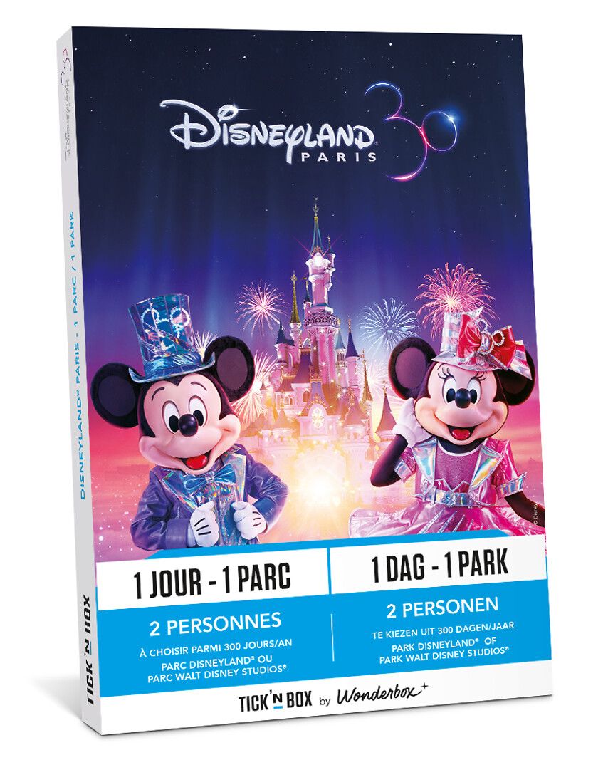Disneyland Paris (1 jour / 1 parc)
