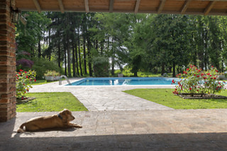 Met de hond op weekend