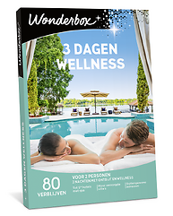 3 dagen wellness